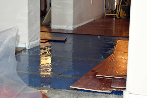 Professional Burst Pipe Cleanup technician working in Forestdale, RI