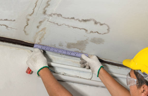 Reliable Burst Pipe Cleanup contractor in Forestdale, RI by Water Damage Irwin